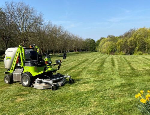 Spring is Here: How We Can Help Your Grounds Maintenance In This New Season