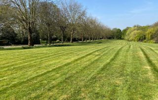 Landscaping & Maintenance